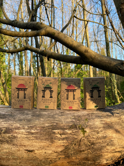 BAMBU 4er Box